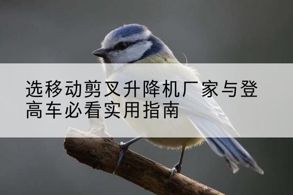 奎文电动升降机厂家-选移动剪叉升降机厂家与登高车必看实用指南