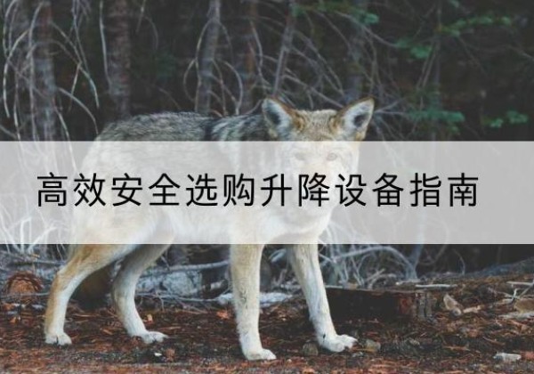 奎文升降货梯厂家推荐-*安全选购升降设备指南