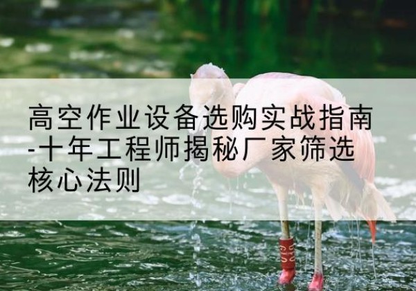 奎文剪叉式升降机厂家-高空作业设备选购实战指南-十年工程师揭秘厂家筛选核心法则
